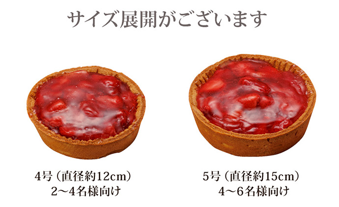 サイズ展開