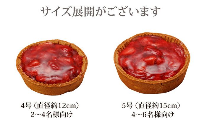 苺のチーズタルト4号 （おのし・包装・ラッピング不可）※12/17～12/25